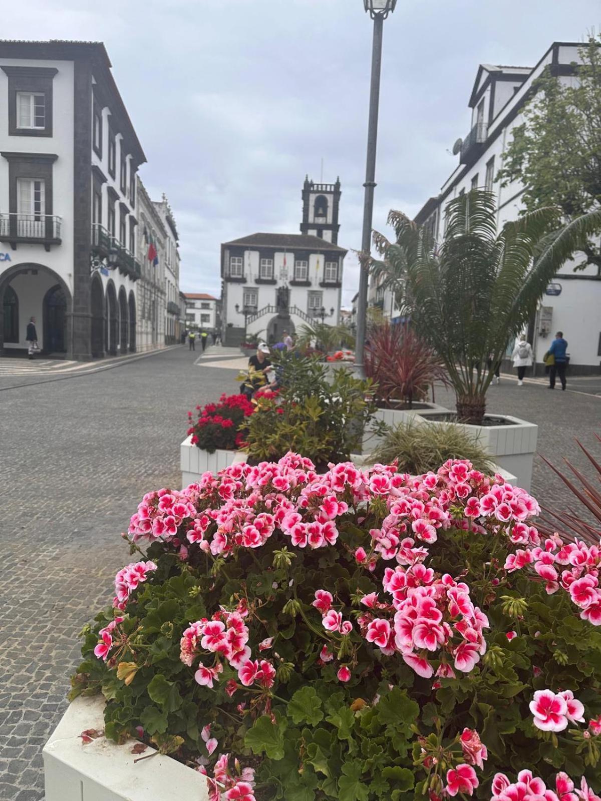 Azor International Apartment I Ponta Delgada Dış mekan fotoğraf
